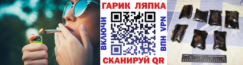 ГАШ hashish  наркотики  Кондопога 