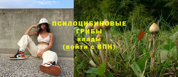 героин Алзамай