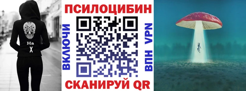 Галлюциногенные грибы Psilocybine cubensis  Кондопога 